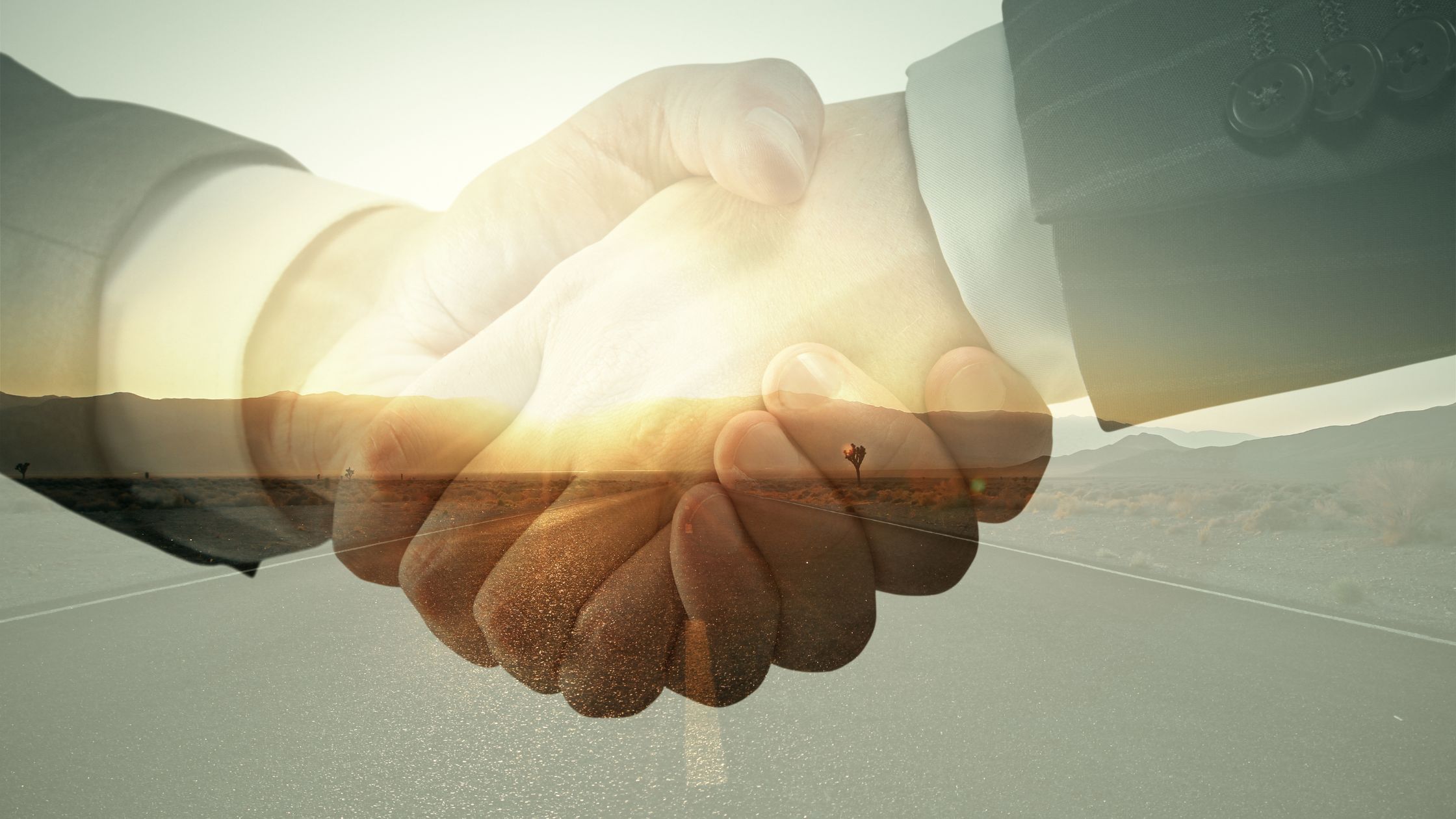 IAPAE Leadership Joins the Editorial Board of JIPA - Header BG IMG